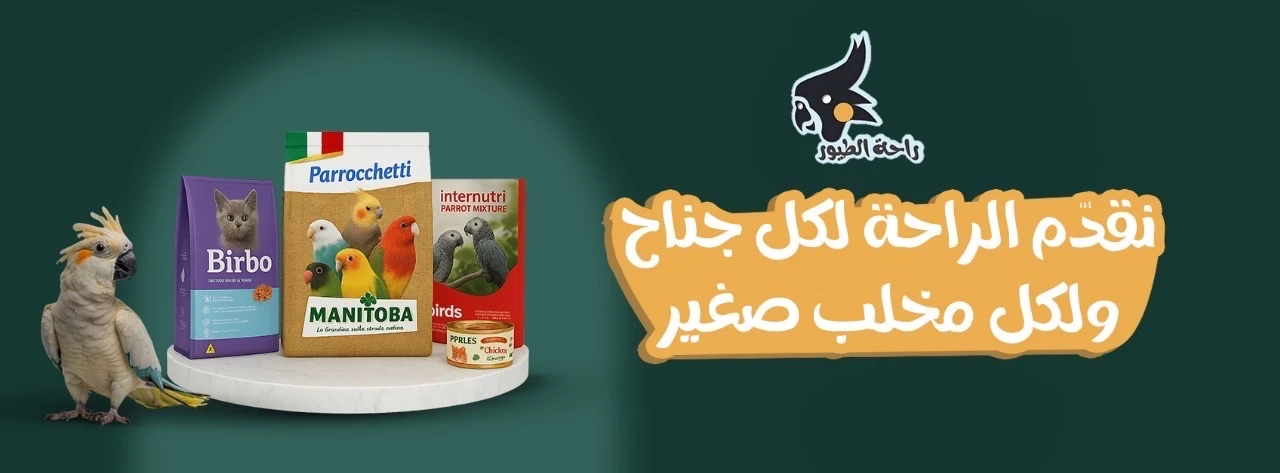 البنر